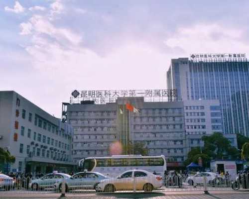 试管放2个胚胎的成活率高吗？放2个胚胎试管成功率多大？