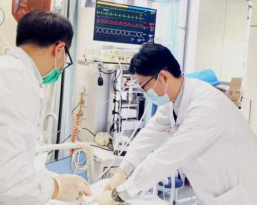 移植后每天喝鲫鱼汤成功怀孕，试管移植前塞港黄作用？