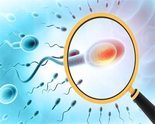 多胎妊娠的危害(多胎妊娠概述)