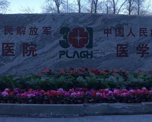 卵巢畸胎瘤的形成因揭秘：两大神秘因素揭秘！