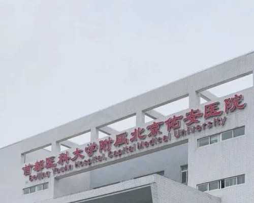 探索如何让五个月大的宝宝开始添加辅食的技巧和策略