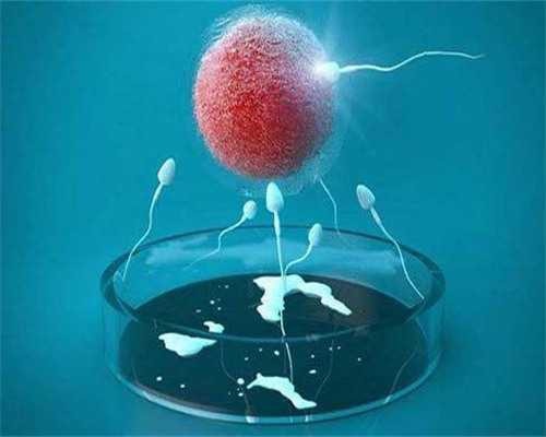 (重磅新闻)胚胎染色体问题是什么原因造成的