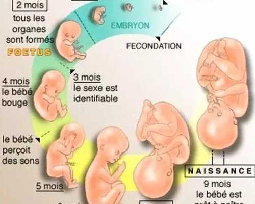 国内做第三代试管多少钱 孕宝国际试管首选