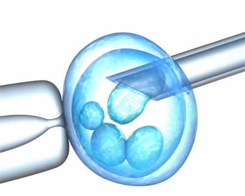北京供卵试管婴儿医院有哪些医生可以做