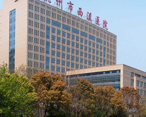 北京借卵生子的费用,从北京去马来西亚做试管费用一般是多少