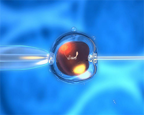 北京洗精术,北京第三代试管包生男孩价格多少？附生男孩的条件？
						