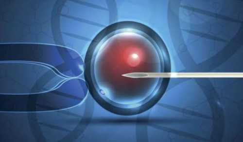 北京地下捐卵，50万包男孩，地下捐卵多少钱